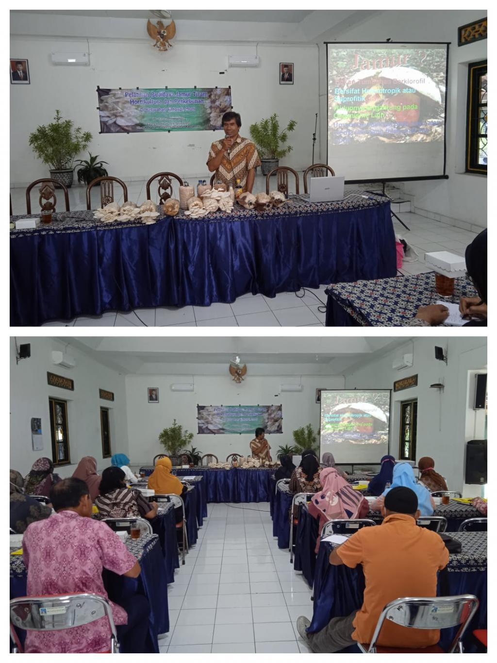 PELATIHAN BUDIDAYA JAMUR TIRAM HOLTIKULTURA DAN PERKEBUNAN BAGI WARGA TIRTOADI