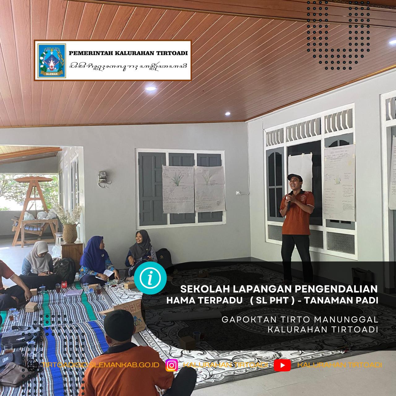 SEKOLAH LAPANGAN PENGENDALIAN HAMA TERPADU (SL PHT)-TANAMAN PADI