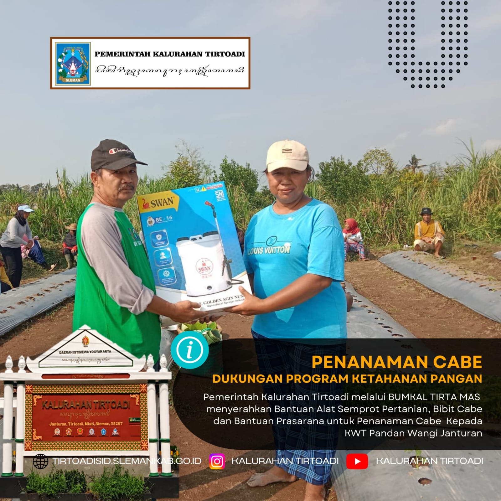 PENANAMAN CABE DUKUNGAN PROGRAM KETAHANAN PANGAN